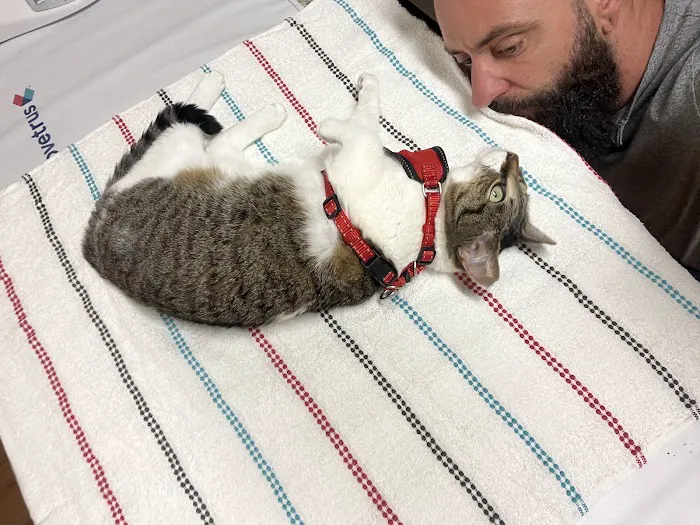 Big Rock Veterinary Hospital 8