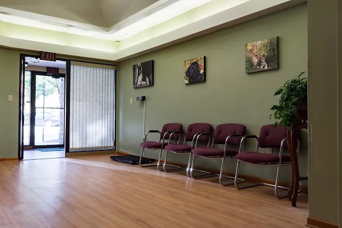 Big Rock Veterinary Hospital 7