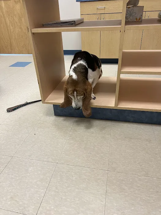 Crossroads Veterinary Hospital 3