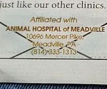 Animal Hospital of Orwell