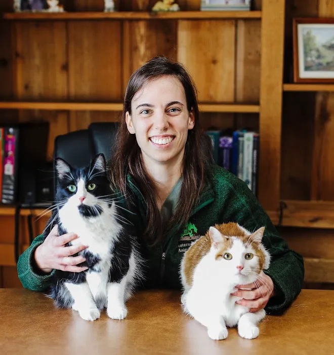 Animal Hospital of Orwell 6