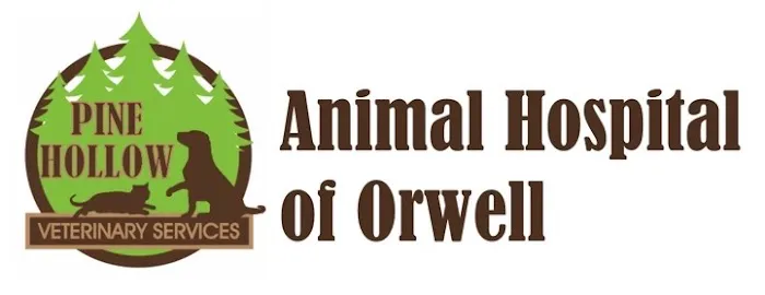 Animal Hospital of Orwell 3