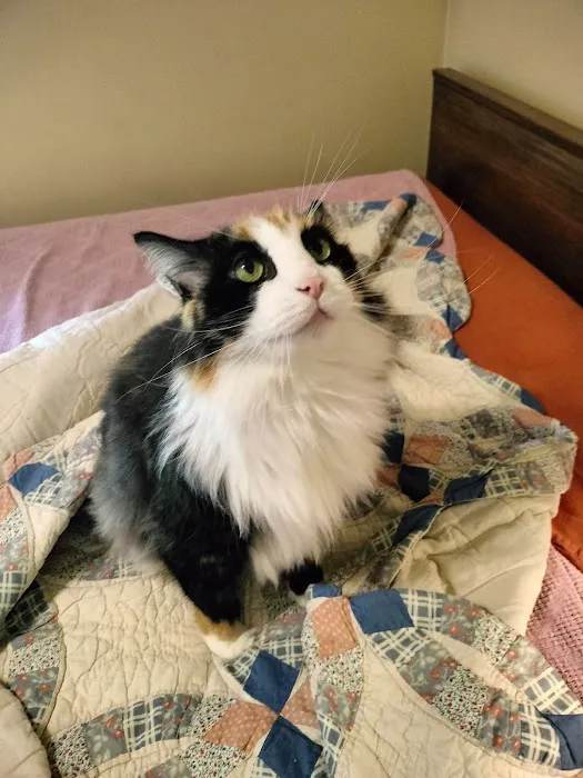 Howland Community Animal Hospital 8