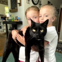 Town & Country Veterinary Hospital ico