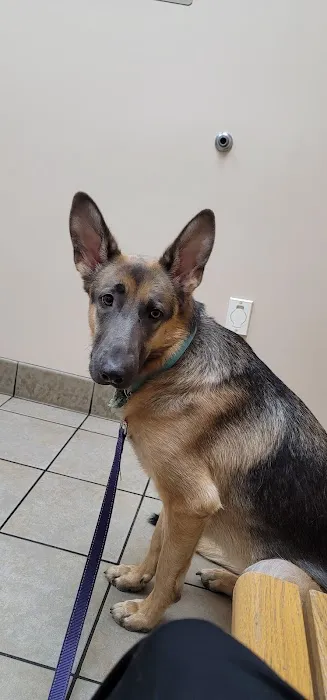 Town & Country Veterinary Hospital 2