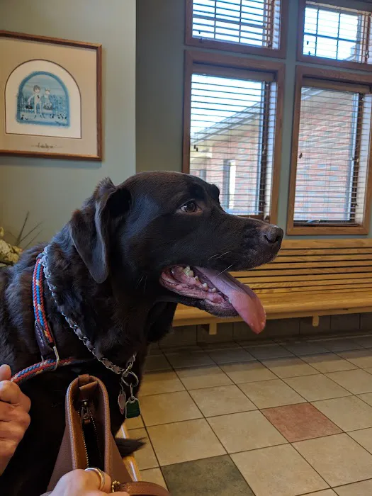 Town & Country Veterinary Hospital 7