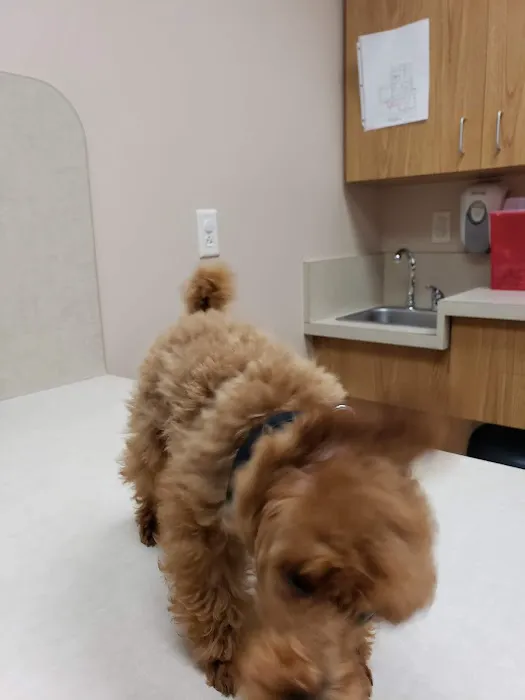 Town & Country Veterinary Hospital 10