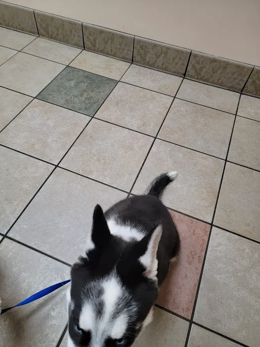 Town & Country Veterinary Hospital: Arendas C A DVM 5