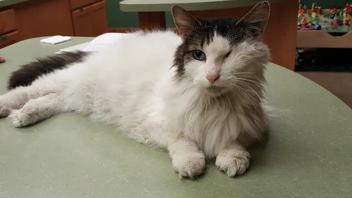 Western Reserve Vet Hospital 5
