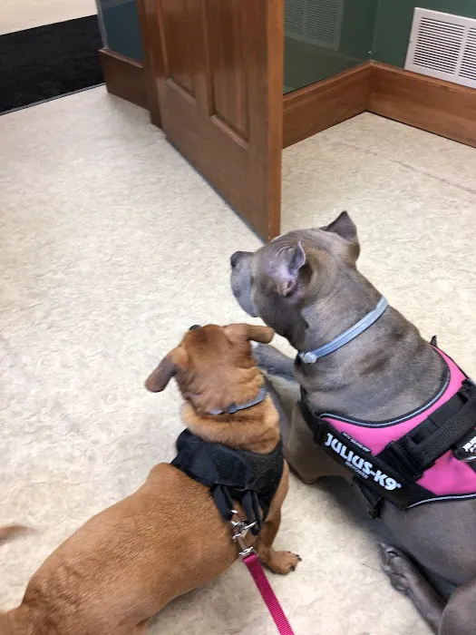 Western Reserve Vet Hospital 8