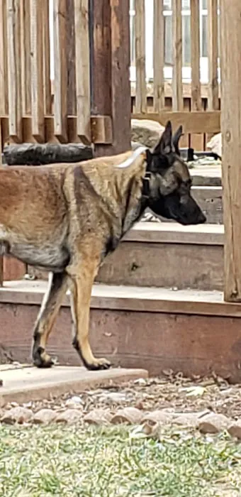 Niles Veterinary Clinic 1