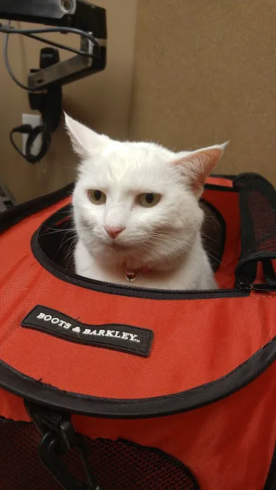 Niles Veterinary Clinic 9