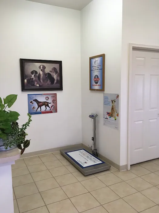 Clarksville Veterinary Clinic 1