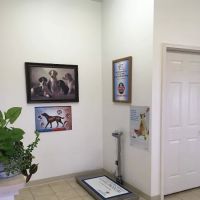 Clarksville Veterinary Clinic ico