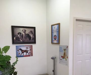 Clarksville Veterinary Clinic
