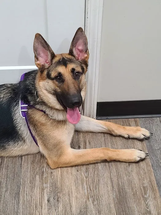Bowling Green Veterinary Clinic 8