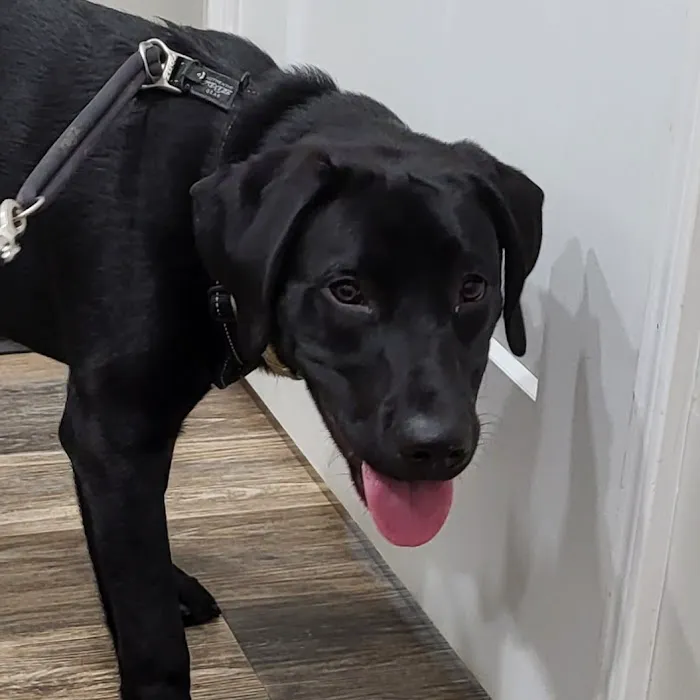 Bowling Green Veterinary Clinic 3