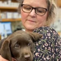 Sugar Creek Animal Hospital ico