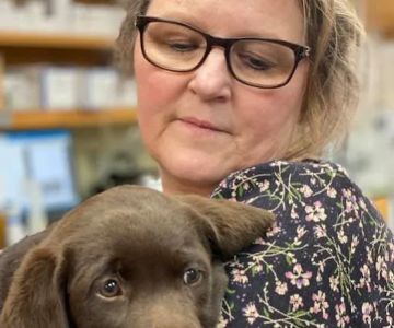 Sugar Creek Animal Hospital