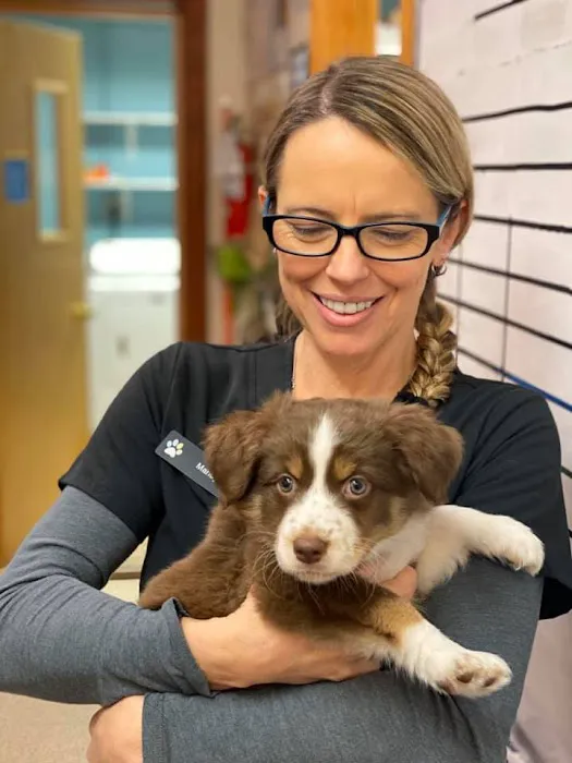 Sugar Creek Animal Hospital 7