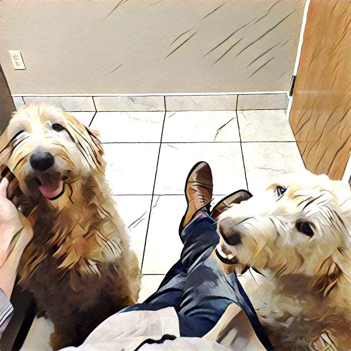 Oak View Animal Clinic 10