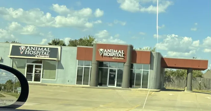 Animal Hospital Of Centerton 2