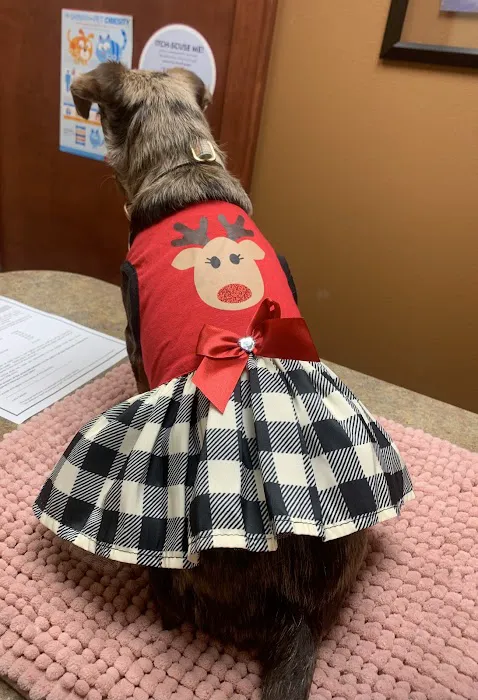 Animal Hospital Of Centerton 1