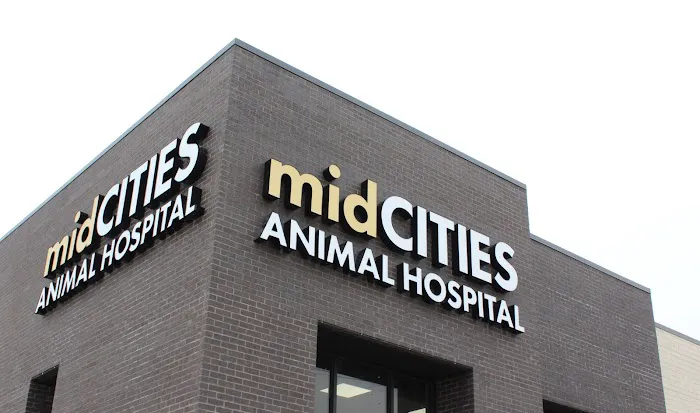 midCITIES Animal Hospital 4