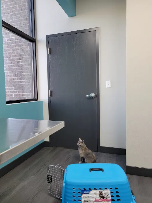 midCITIES Animal Hospital 2
