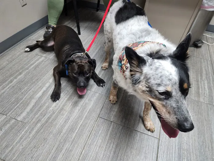 Grove Small Animal Hospital 8