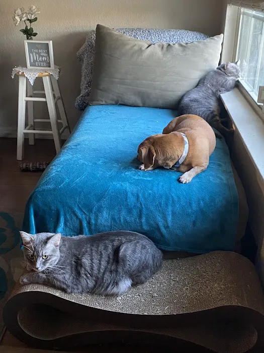 Grove Small Animal Hospital 6