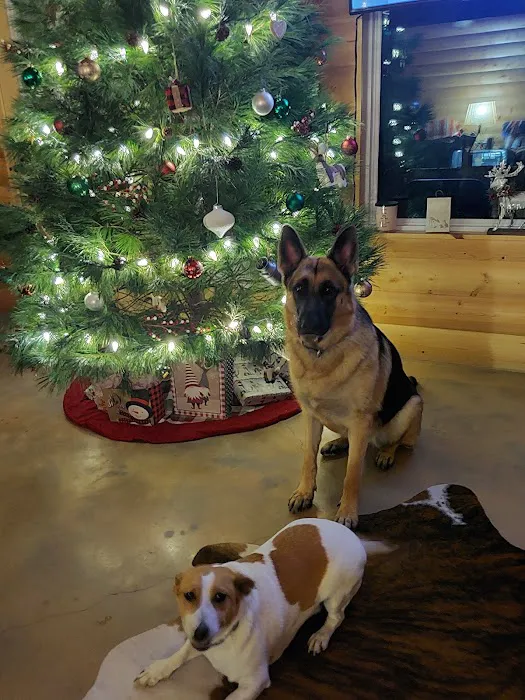 Grove Small Animal Hospital 10