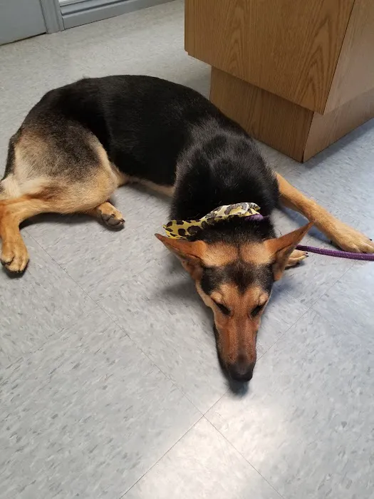 Gentry Veterinary Clinic 1