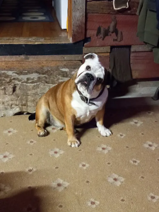 Gentry Veterinary Clinic 10