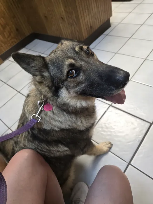 Fairland Veterinary Hospital 7