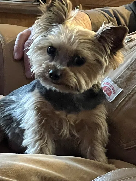 South grand veterinary clinic 10