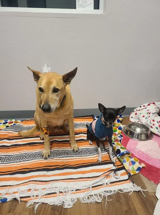 Osage Veterinary Clinic 1