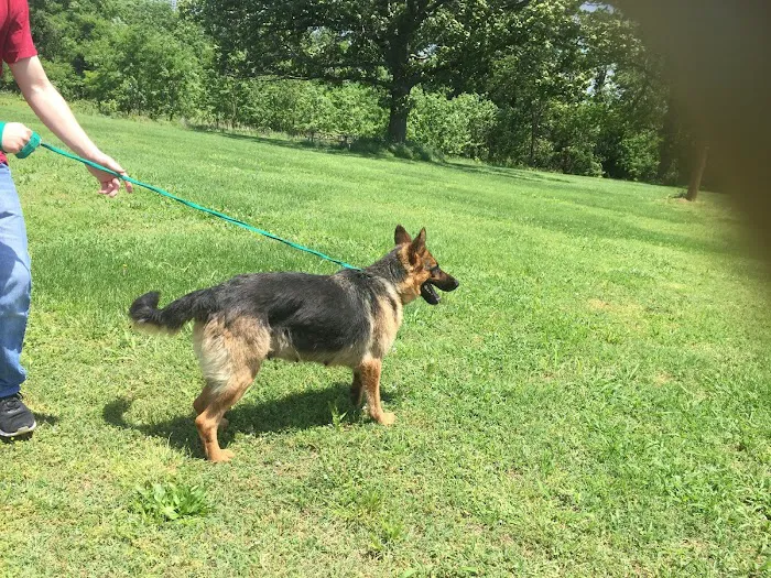 Pea Ridge Veterinary Clinic 6