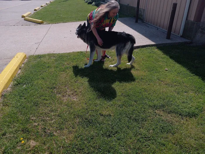 Pea Ridge Veterinary Clinic 9