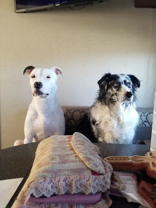 Pea Ridge Veterinary Clinic 3