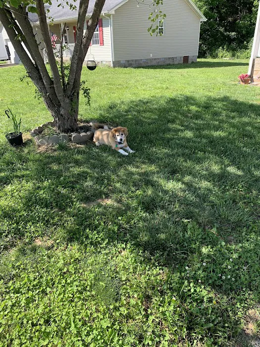 Trigg County Veterinary Clinic 5