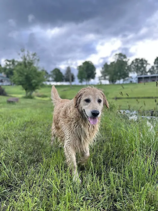 Rough River Veterinary Clinic 1