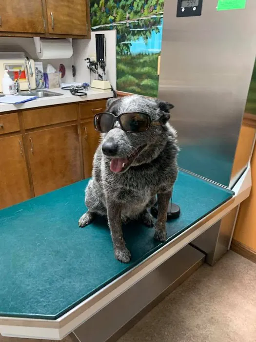 Ohio County Animal Clinic PLLC 7
