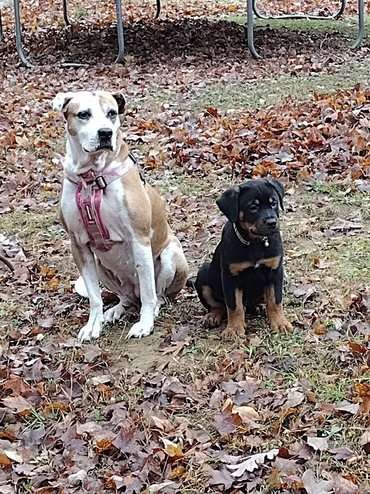 Ohio County Animal Clinic PLLC 1