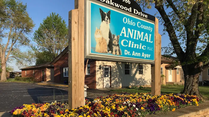 Ohio County Animal Clinic PLLC 10