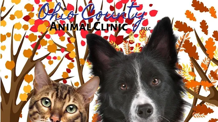 Ohio County Animal Clinic PLLC 8