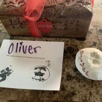 Ark All Animal Cremation ico