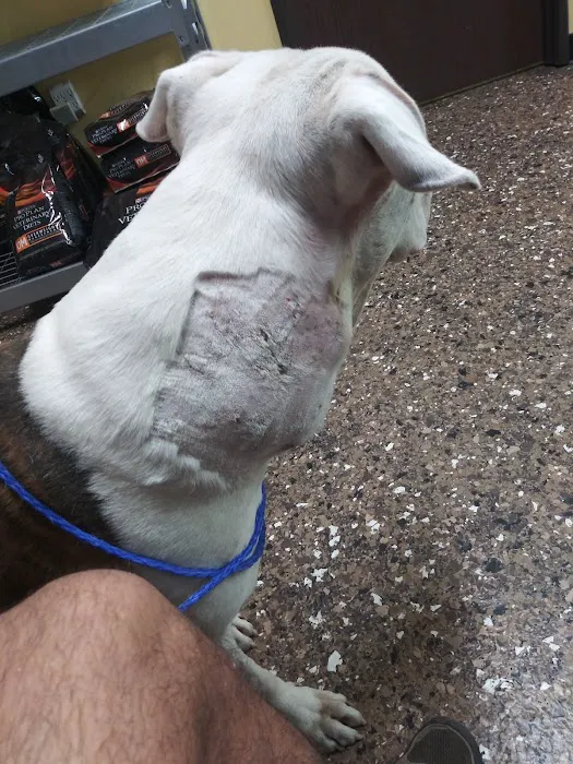 All Care Pet Clinic 9