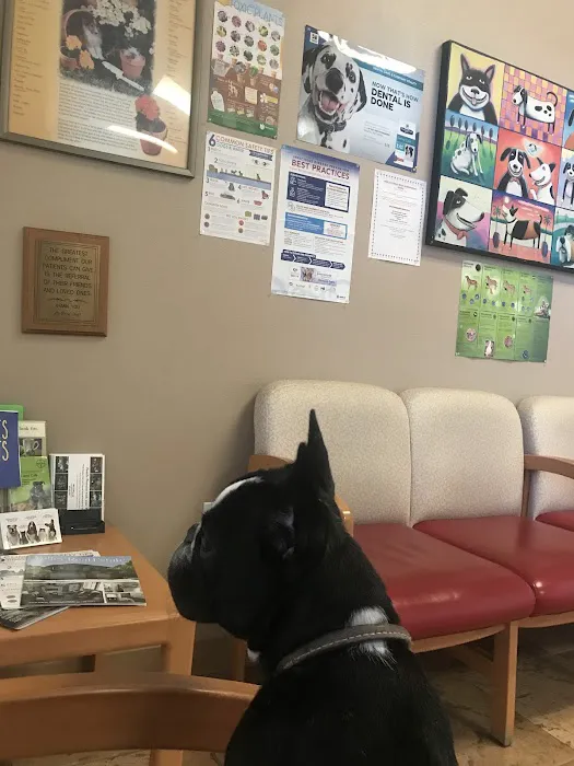 All Care Pet Clinic 10