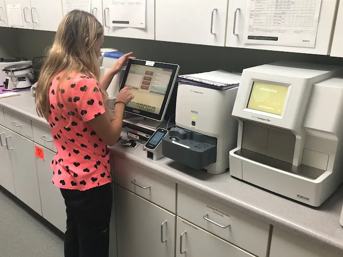 Calabasas Animal Clinic 10